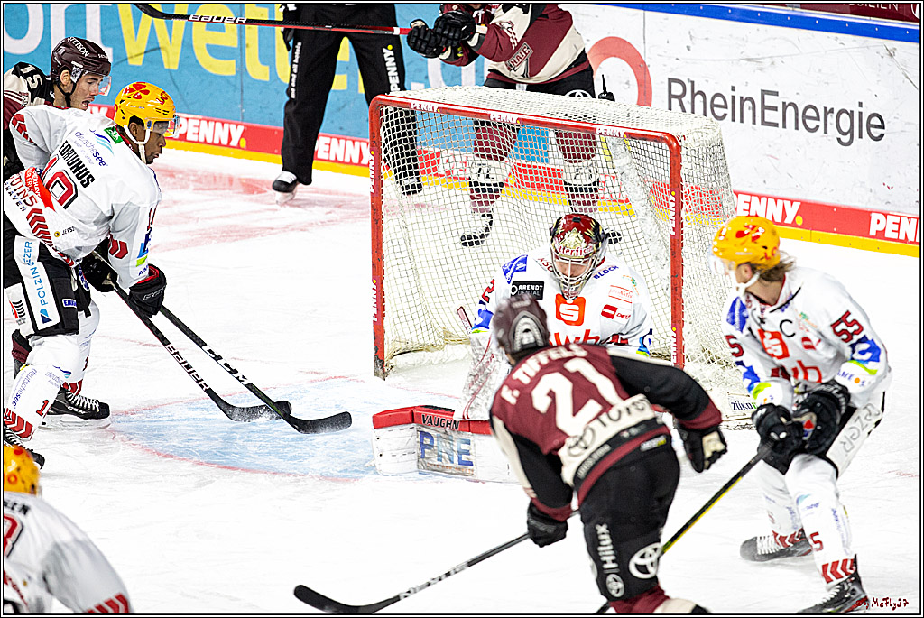 PENNY DEL;  Koelner Haie - Fischtown Pinguins Bremerhaven; Koeln, 12.02.2021